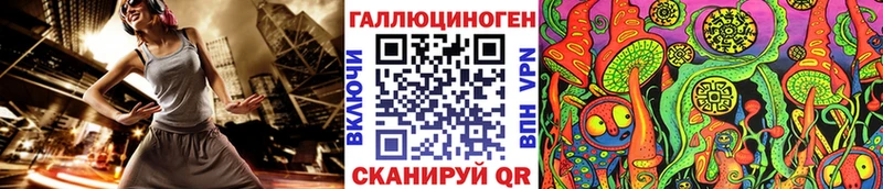 закладка  Моздок  Псилоцибиновые грибы Cubensis 