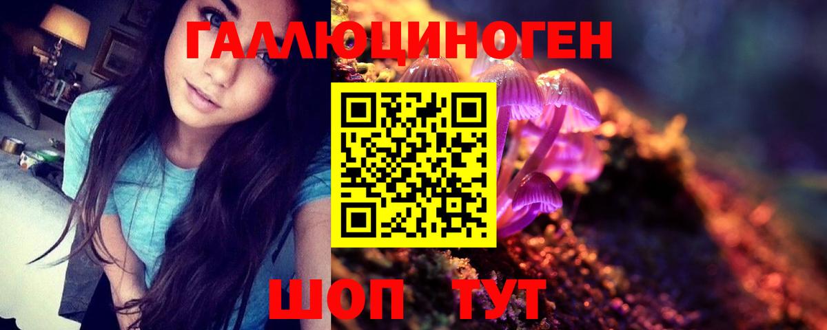 Псилоцибиновые грибы мицелий Моздок
