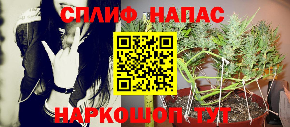 Шишки марихуана сатива Моздок